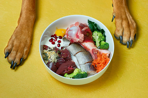 Creating raw Dog Food Meals at Home post thumbnail image