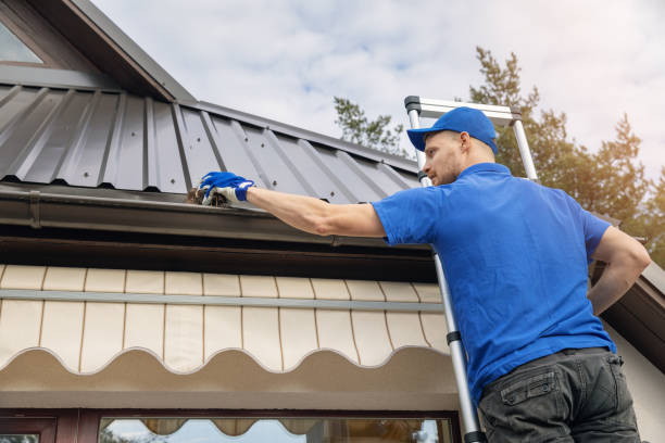 Why Early spring is the best Time for you to Obtain Your Rainwater gutters Cleansed post thumbnail image