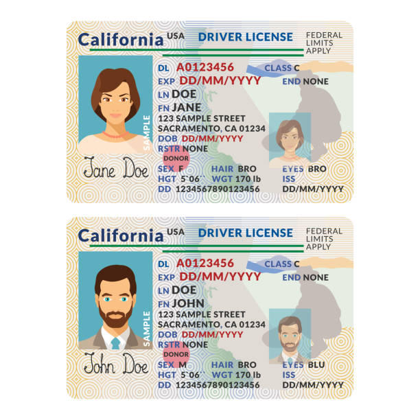 The Leading Providers of High-Quality Fake IDs post thumbnail image