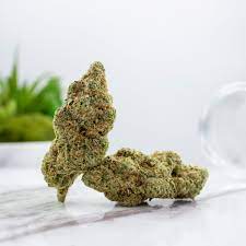 Choose the best quality Weed delivery Mississauga post thumbnail image