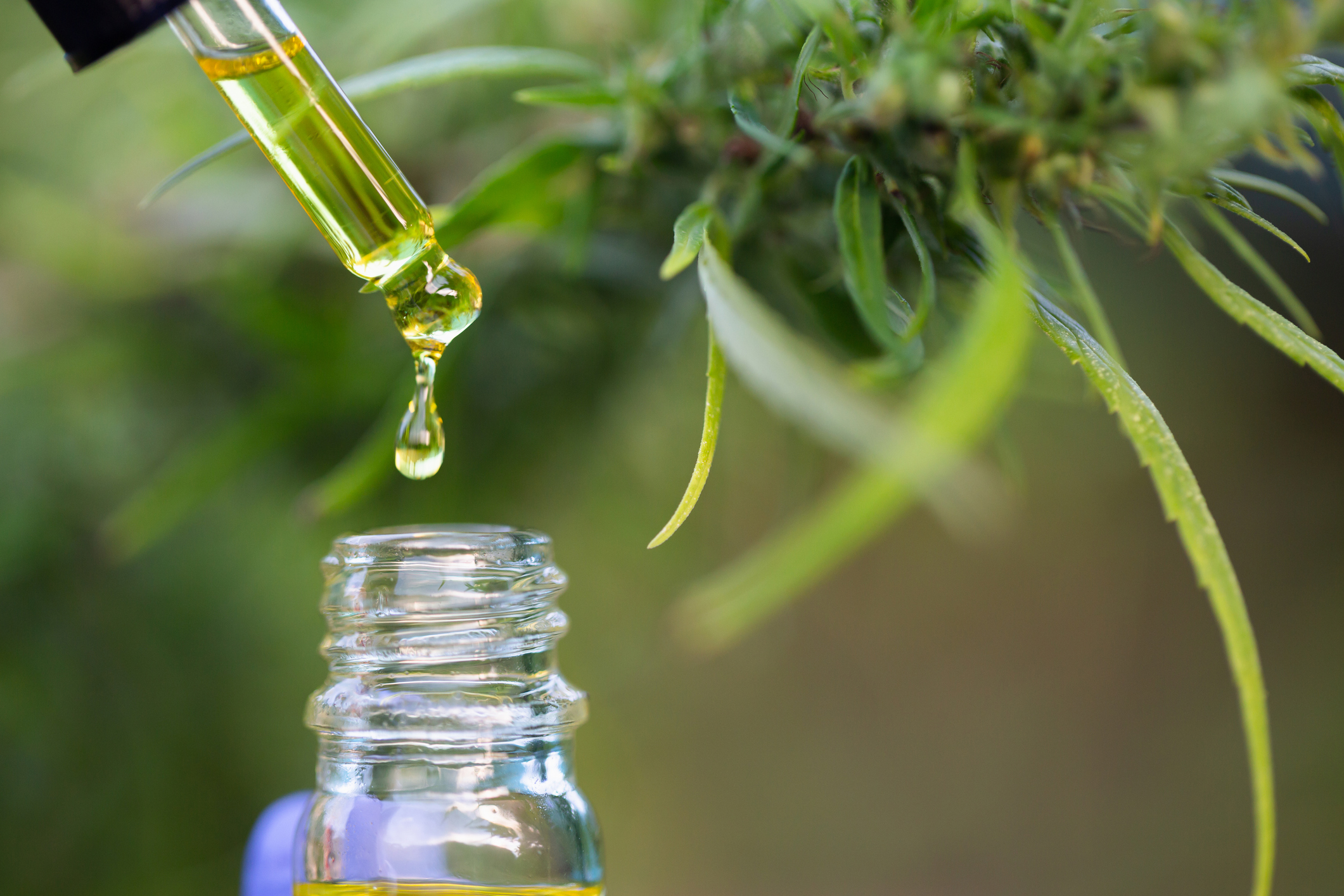 Examining Potency Levels in CBD Products With Laboratory Tests post thumbnail image