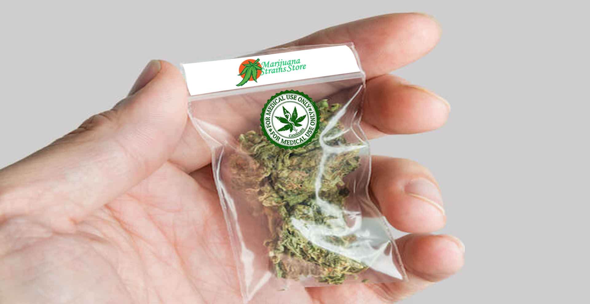 Buy weed online and Receive Fast, Reliable Delivery post thumbnail image