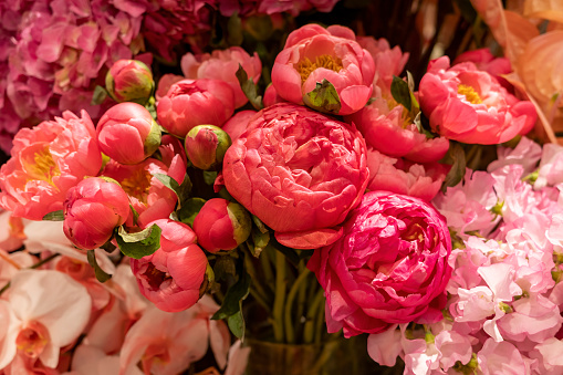 Send Someone Special a Beautiful Peony Bouquet in NYC post thumbnail image
