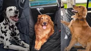 All-Weather Dog Car Seat Cover – Protect Your Seats From Water, Snow, and Dirt post thumbnail image