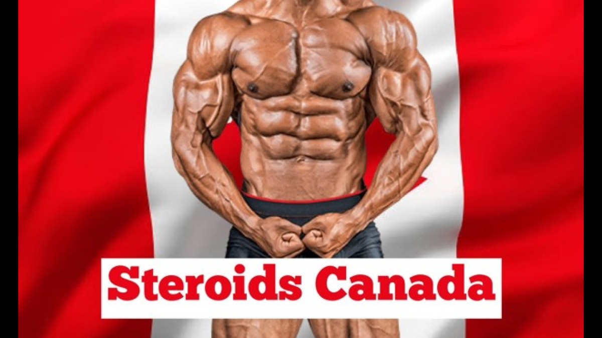 Understand how to Make best use of Canadian Steroids post thumbnail image