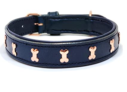 Finding the Perfect Dog collar: Tips and Tricks post thumbnail image