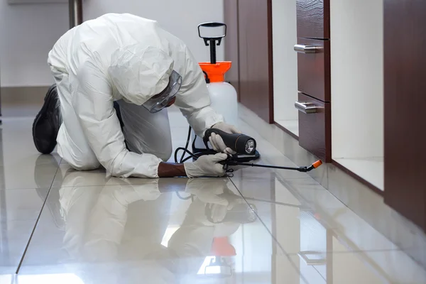 Las Vegas Pest Control: Experts in Exclusion and Pest Prevention post thumbnail image