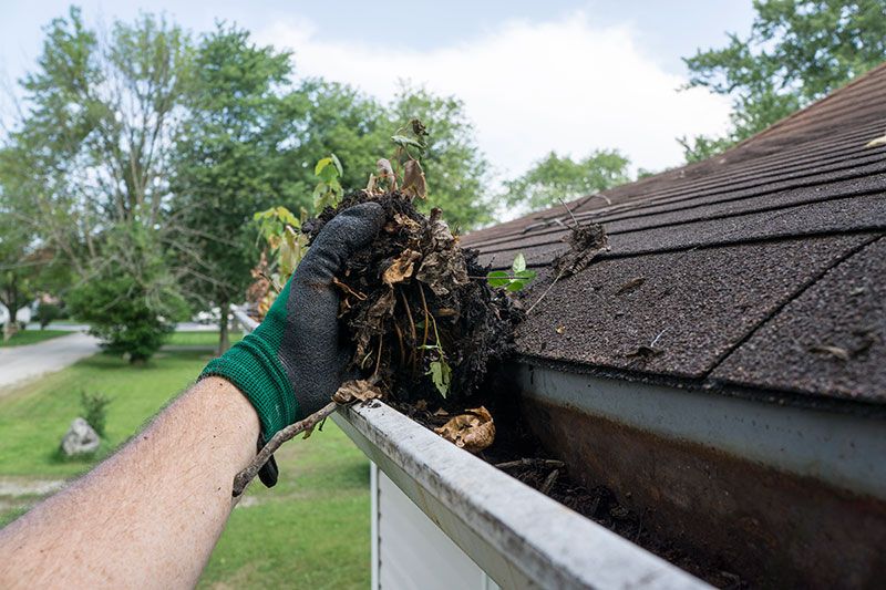 Great things about Expert Window Cleaners post thumbnail image