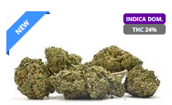 Acquire High-Good quality Weed Transported to Your Doorstep post thumbnail image
