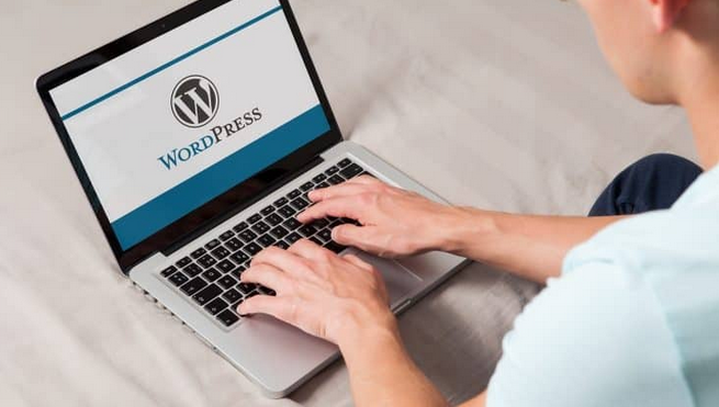 Techniques for Placing Your Amount as a Freelance WordPress Developer post thumbnail image