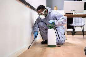 Safeguarding Your Property: Pest control Las Vegas in Las Vegas post thumbnail image