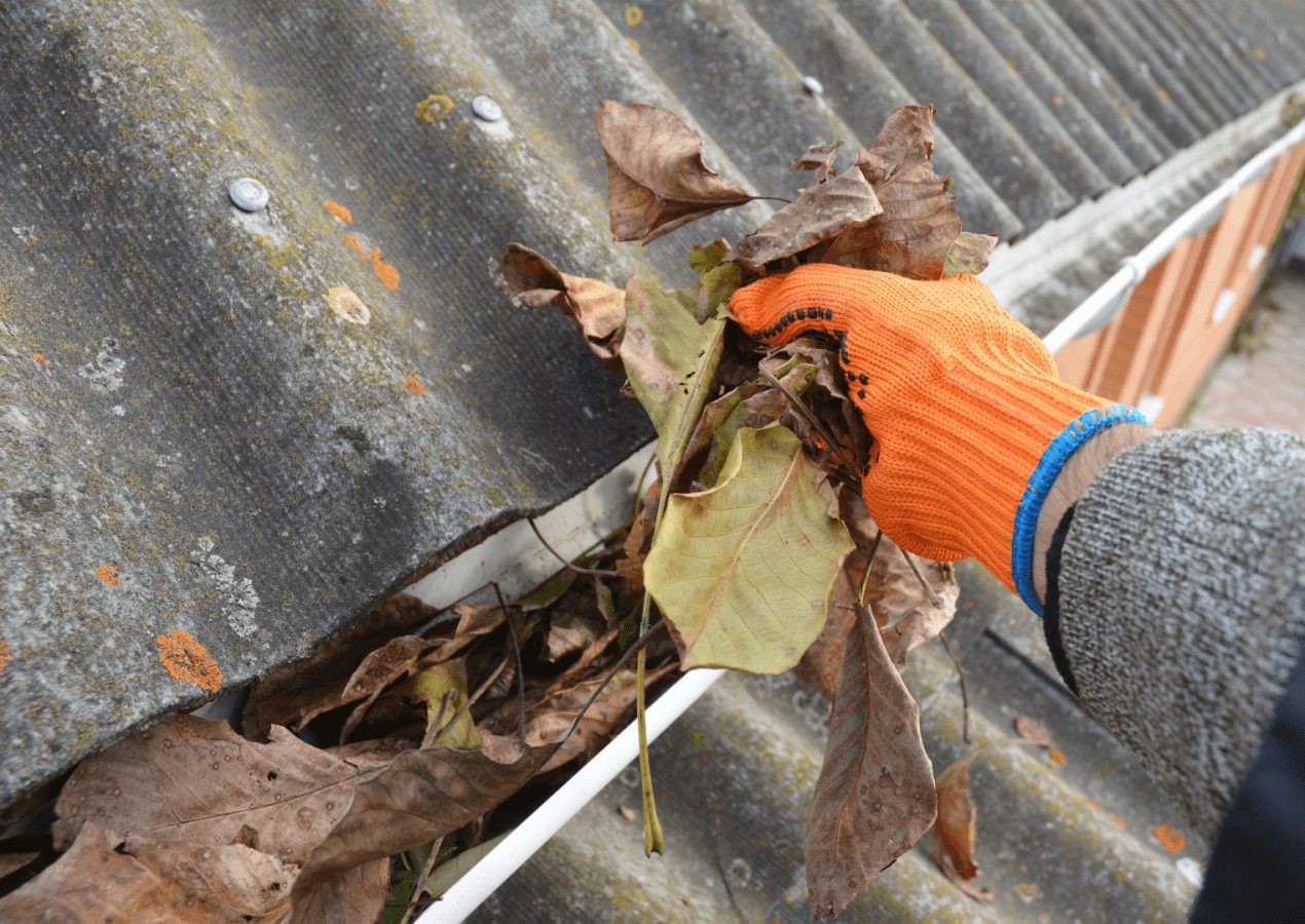 Gutter Cleaning Services in the Eastern Suburbs: Ensure Efficient Water Drainage post thumbnail image