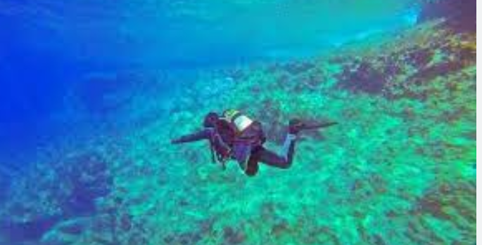 Phuket Scuba Diving: An Unforgettable Aquatic Experience post thumbnail image