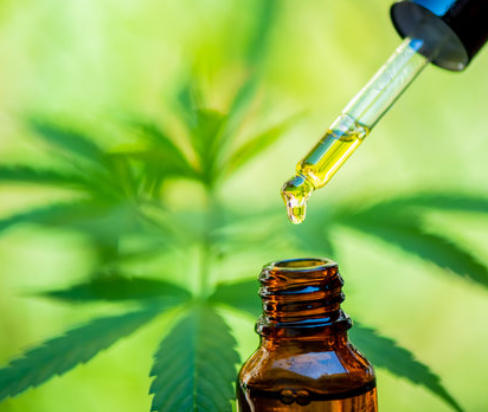 Elevate Your Well-Being: Dog cbd for a Holistic Approach to Health post thumbnail image