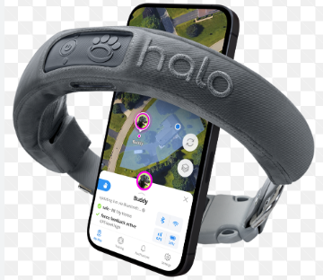 Halo 3 Dog Collar Review: Advancing Canine Care post thumbnail image
