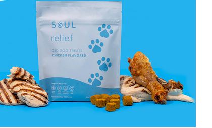 CBD Dog Treats: Combating Nausea and Vomiting post thumbnail image